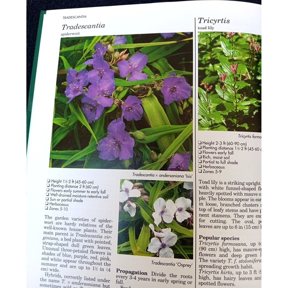 A–Z of Perennials – Reader's Digest Successful Gardening Series 1990, Hardcover - Picture 12 of 14
